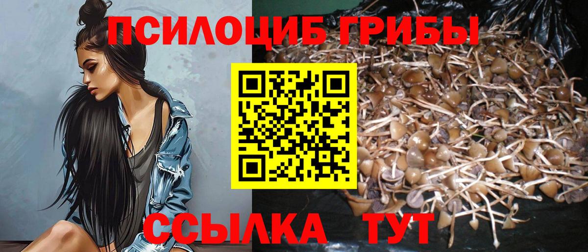 Азов  Галлюциногенные грибы мухоморы  Вход с VPN 