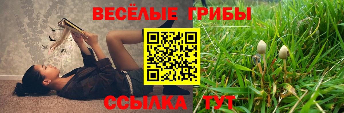 Галлюциногенные грибы мухоморы Азов